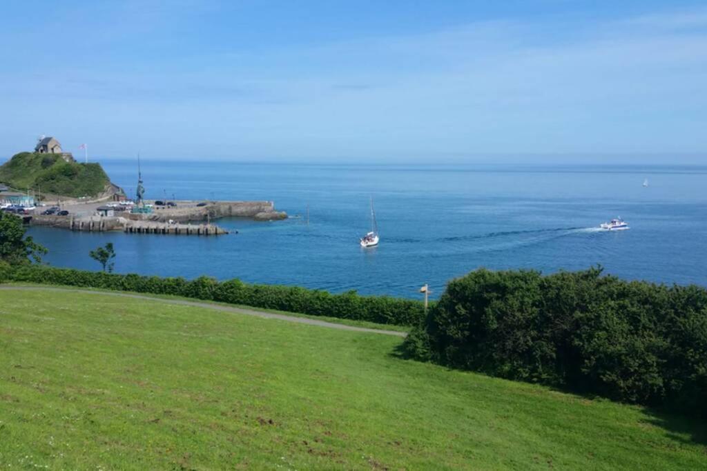 The Kite, Upper Torrs View Villa Ilfracombe Exterior foto